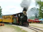 Narrow Guage Steam Train